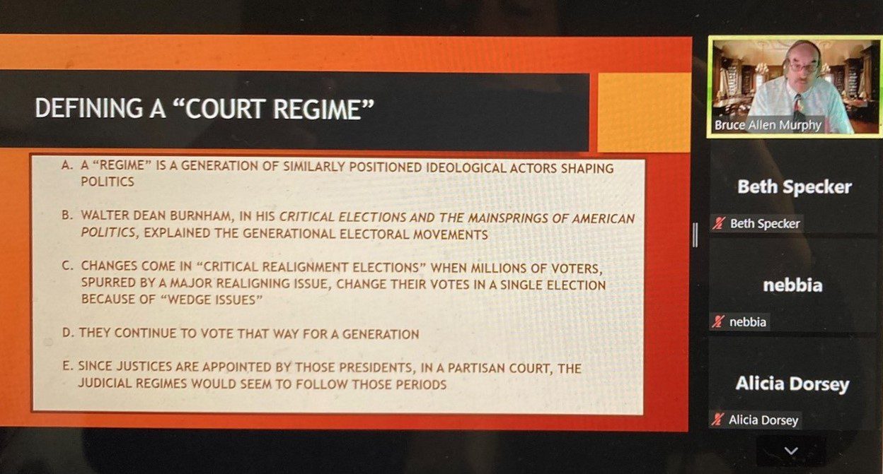 Screen shot of training materials in video conference.